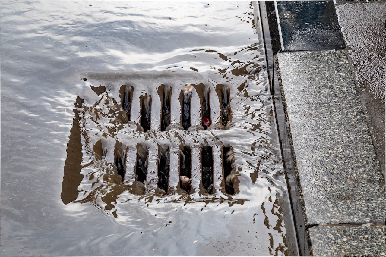 Ways to Maintain a Healthy Drainage System