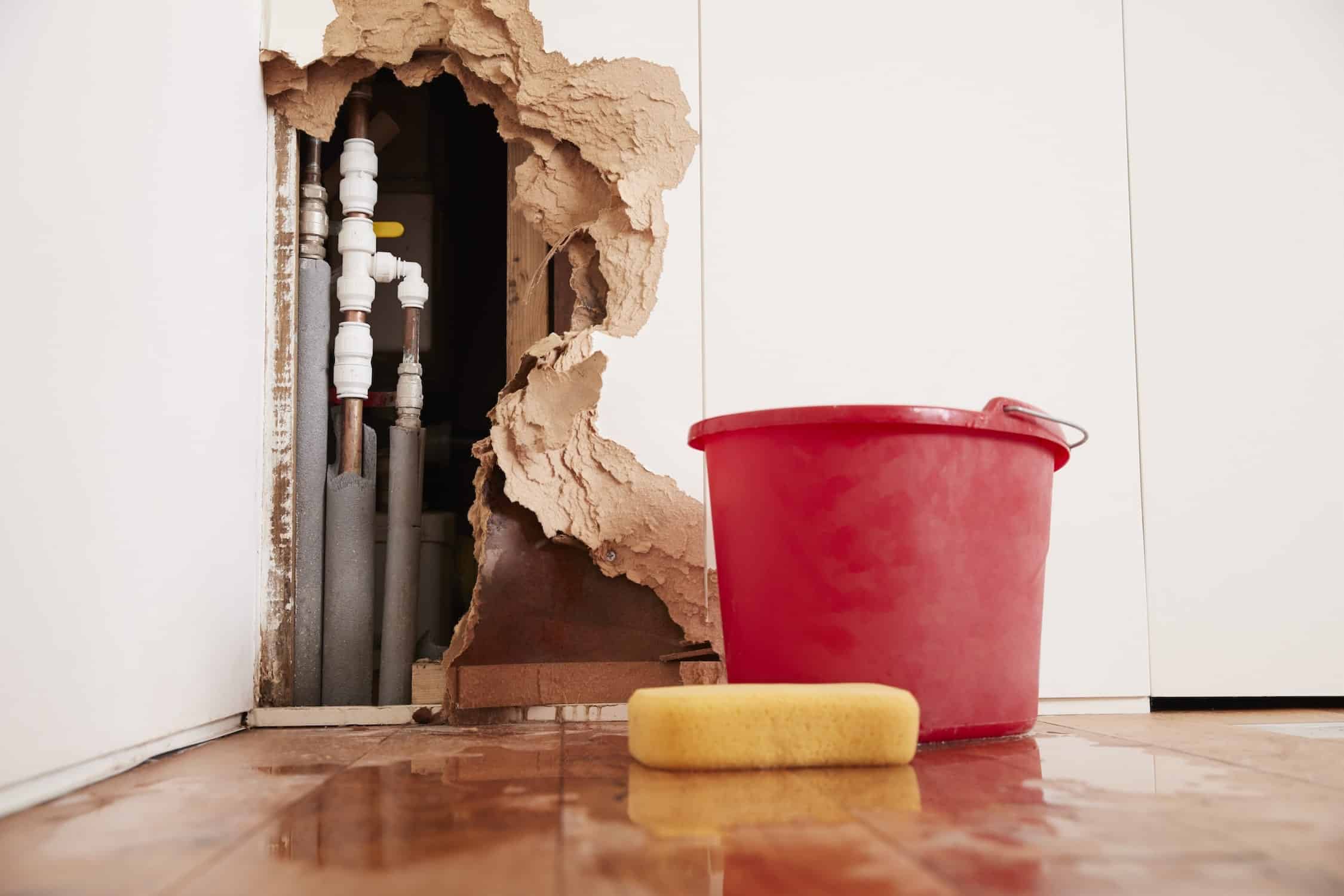 What To Do When Your Pipes Burst